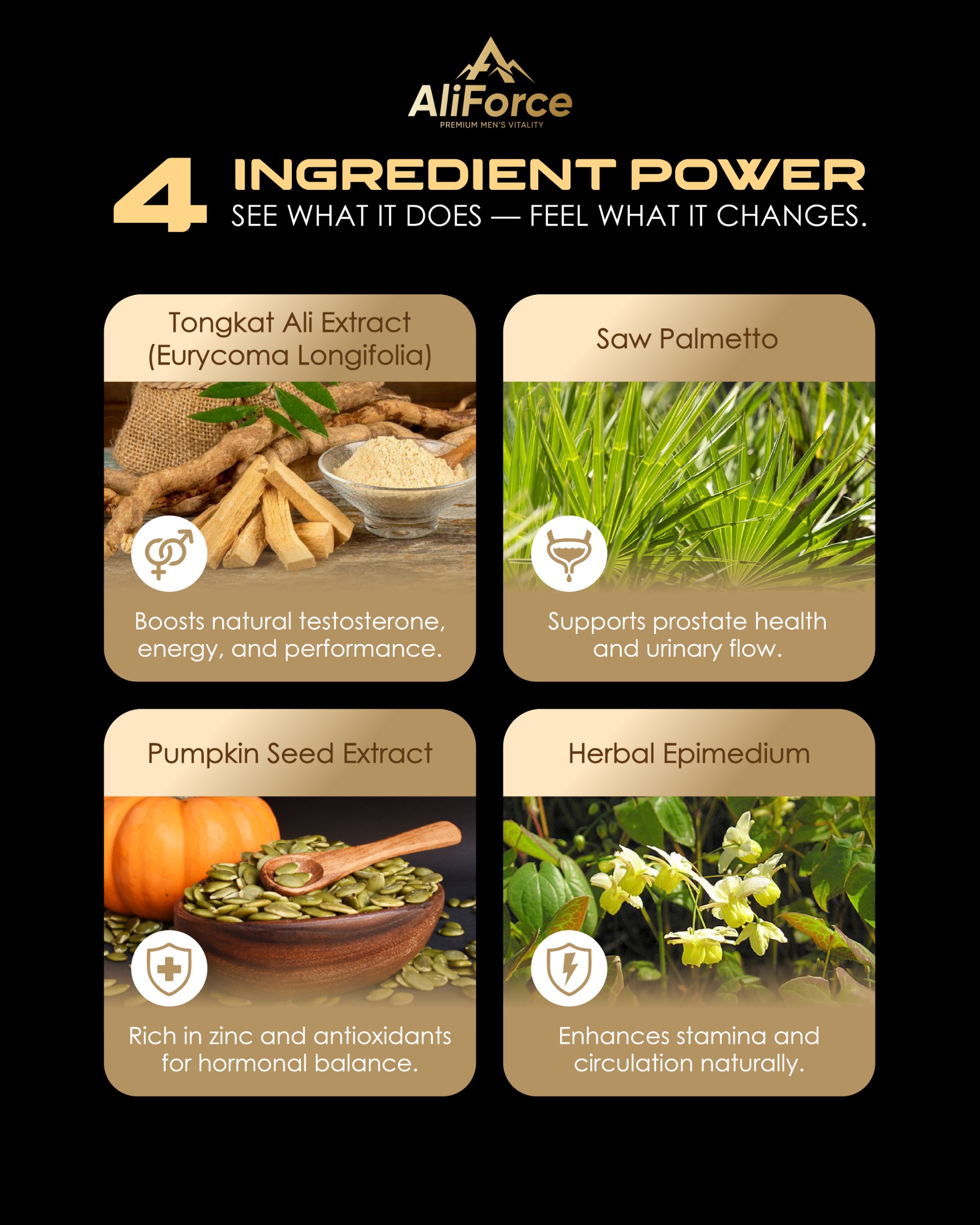 AliForce product description panel 5